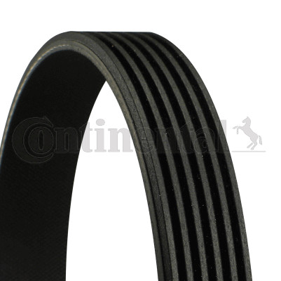 Continental ctam 6pk2475 - continental,